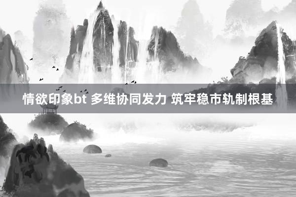 情欲印象bt 多维协同发力 筑牢稳市轨制根基
