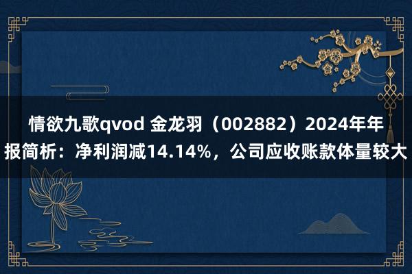 情欲九歌qvod 金龙羽（002882）2024年年报简析：净利润减14.14%，公司应收账款体量较大