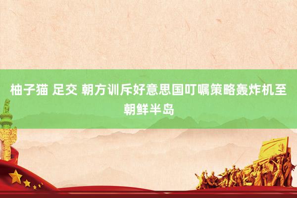 柚子猫 足交 朝方训斥好意思国叮嘱策略轰炸机至朝鲜半岛