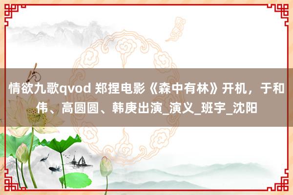 情欲九歌qvod 郑捏电影《森中有林》开机，于和伟、高圆圆、韩庚出演_演义_班宇_沈阳