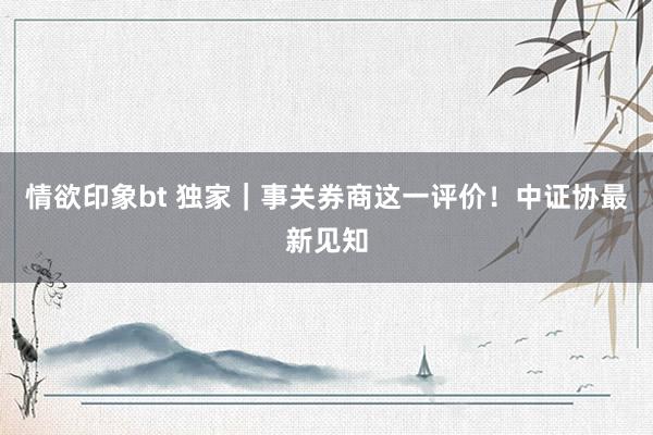 情欲印象bt 独家｜事关券商这一评价！中证协最新见知