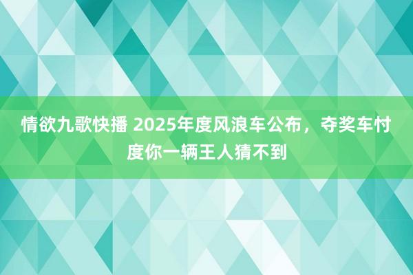 情欲九歌快播 2025年度风浪车公布，夺奖车忖度你一辆王人猜不到