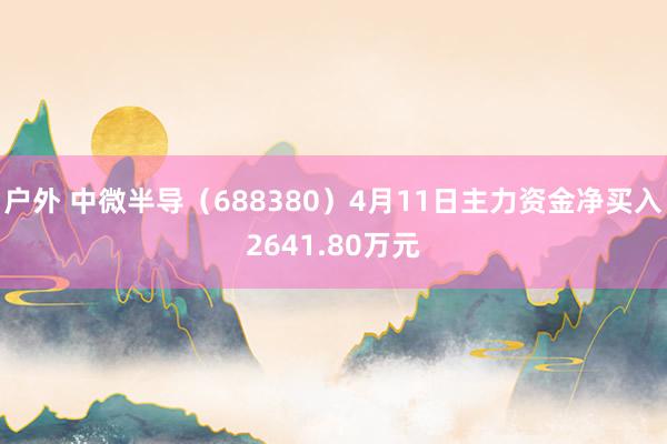 户外 中微半导（688380）4月11日主力资金净买入2641.80万元
