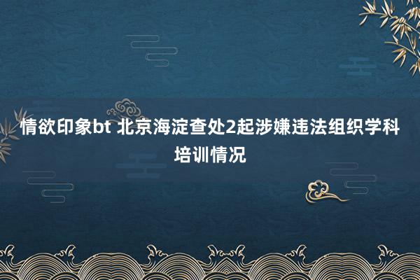 情欲印象bt 北京海淀查处2起涉嫌违法组织学科培训情况