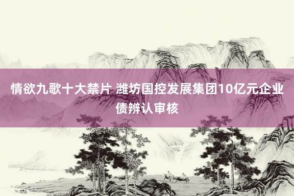 情欲九歌十大禁片 潍坊国控发展集团10亿元企业债辨认审核