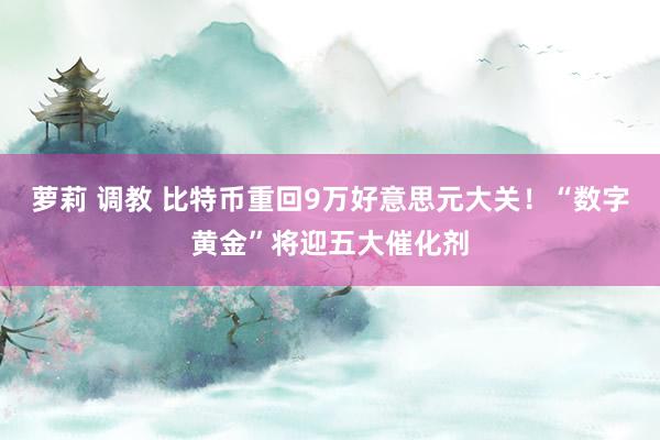 萝莉 调教 比特币重回9万好意思元大关！“数字黄金”将迎五大催化剂
