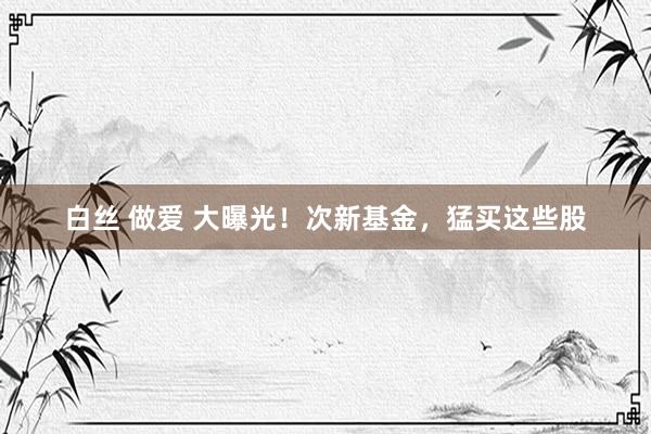 白丝 做爱 大曝光！次新基金，猛买这些股
