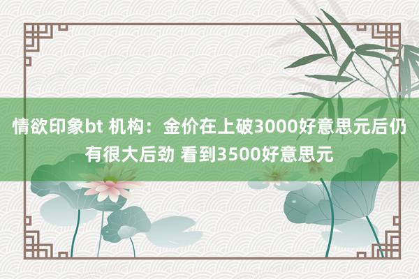 情欲印象bt 机构：金价在上破3000好意思元后仍有很大后劲 看到3500好意思元