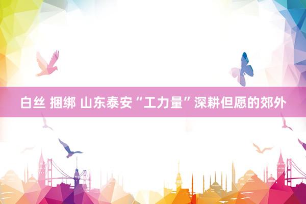 白丝 捆绑 山东泰安“工力量”深耕但愿的郊外