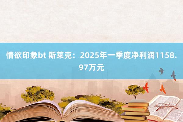 情欲印象bt 斯莱克：2025年一季度净利润1158.97万元