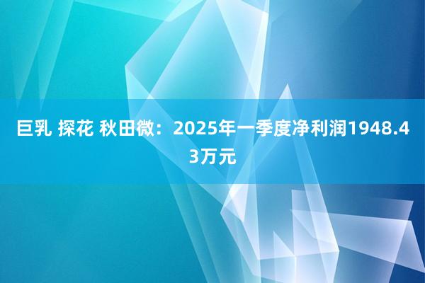 巨乳 探花 秋田微：2025年一季度净利润1948.43万元