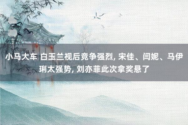 小马大车 白玉兰视后竞争强烈， 宋佳、闫妮、马伊琍太强势， 刘亦菲此次拿奖悬了